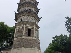 -苏州上方山国家森林公园