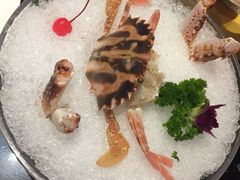-渔傅·蓝海岸霞浦海鲜(正祥店)