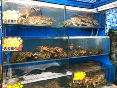 -蚝专家(北滘店)