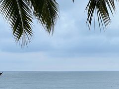 -日落吧·海景咖啡厅·餐酒吧·鸡尾酒·下午茶·乐队表演·浪漫夕阳·三亚文华东方酒店