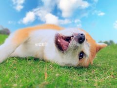 -天府广场