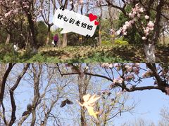 -元大都城垣遗址公园