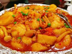 麻婆豆腐-新南华大酒店(长寿店)