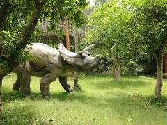 -自贡恐龙博物馆