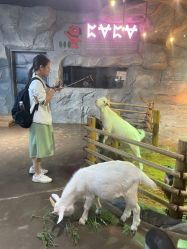 -Zoolung Zoolung动物主题公园(海信广场店)