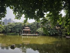 -黄埔荔枝公园