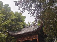 -汇龙潭