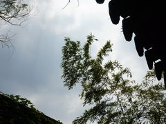 -耦园