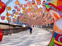 -沈阳奥体冰雪嘉年华