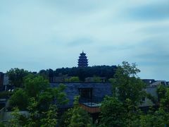 -铁山坪森林公园