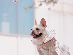 -龙美术馆(西岸馆)