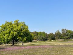 -福建鲤鱼洲酒店