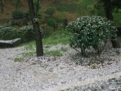 android_upload_pic-塘沽大剧院