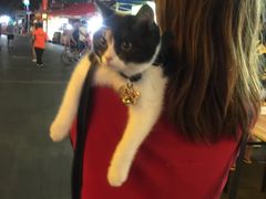 -巴厘龙虾·榜首油焖大虾(洞庭·艺术洋房店)