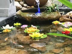 -南湾猴岛+椰田古寨一日游