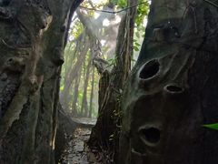 -青青世界