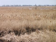 -野鸭湖国家湿地公园