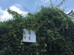 -植觉