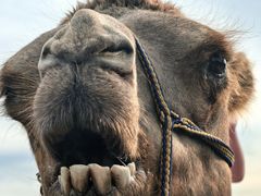 -库伦旗银沙湾旅游景区