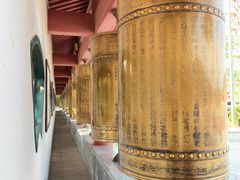 -龙口南山旅游景区