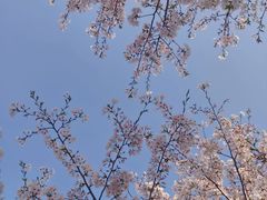 -广富林郊野公园