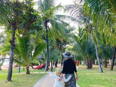 -三亚海棠湾万丽度假酒店