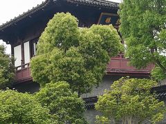 -黄海国家森林公园