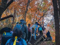 -南京市无想山景区