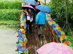 -长兴太湖图影湿地文化园