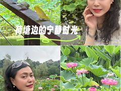 -沐仙湖湿地公园
