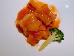 -觀芷隐轩