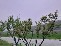 -月湖风景区