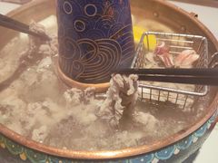 -董记老清泉·鲜切涮羊肉(窑岭店)