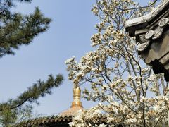 -潭柘寺景区