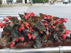 -宝山路(地铁站)