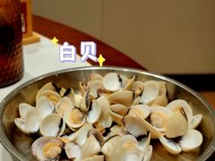 白贝-顺德一品粥·20年凤城老字号(芳村店)