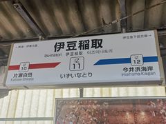 -伊豆观海列车