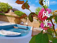 -龙坞茶村