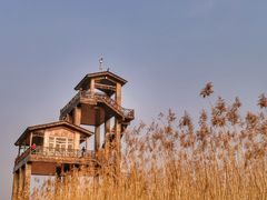 -野鸭湖国家湿地公园