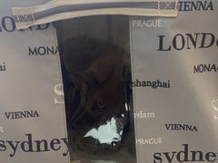 -北京观赏动物医院·24小时大型综合·猫专科·异宠专科