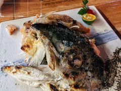 盐烤三文鱼头-熊藏居酒屋(kkone店)