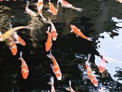 -杭州上天竺法喜讲寺