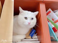 -艾贝尔宠物医院 ·内科全科(梁溪路店)