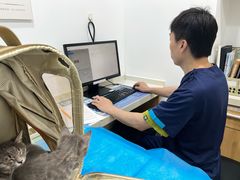 -艾贝尔宠物医院·24H转诊中心·肿瘤猫专科(江宁双龙店)