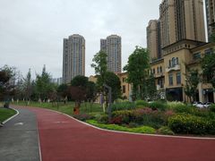 -府河摄影公园