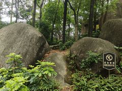 -火炉山森林公园