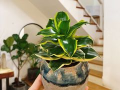 -森野花艺培训·企业团建活动沙龙