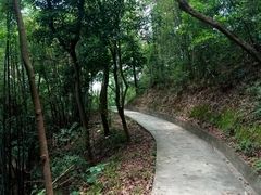 -广州市帽峰山景区