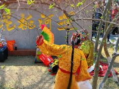 -桃花堤公园
