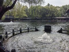 -百脉泉景区